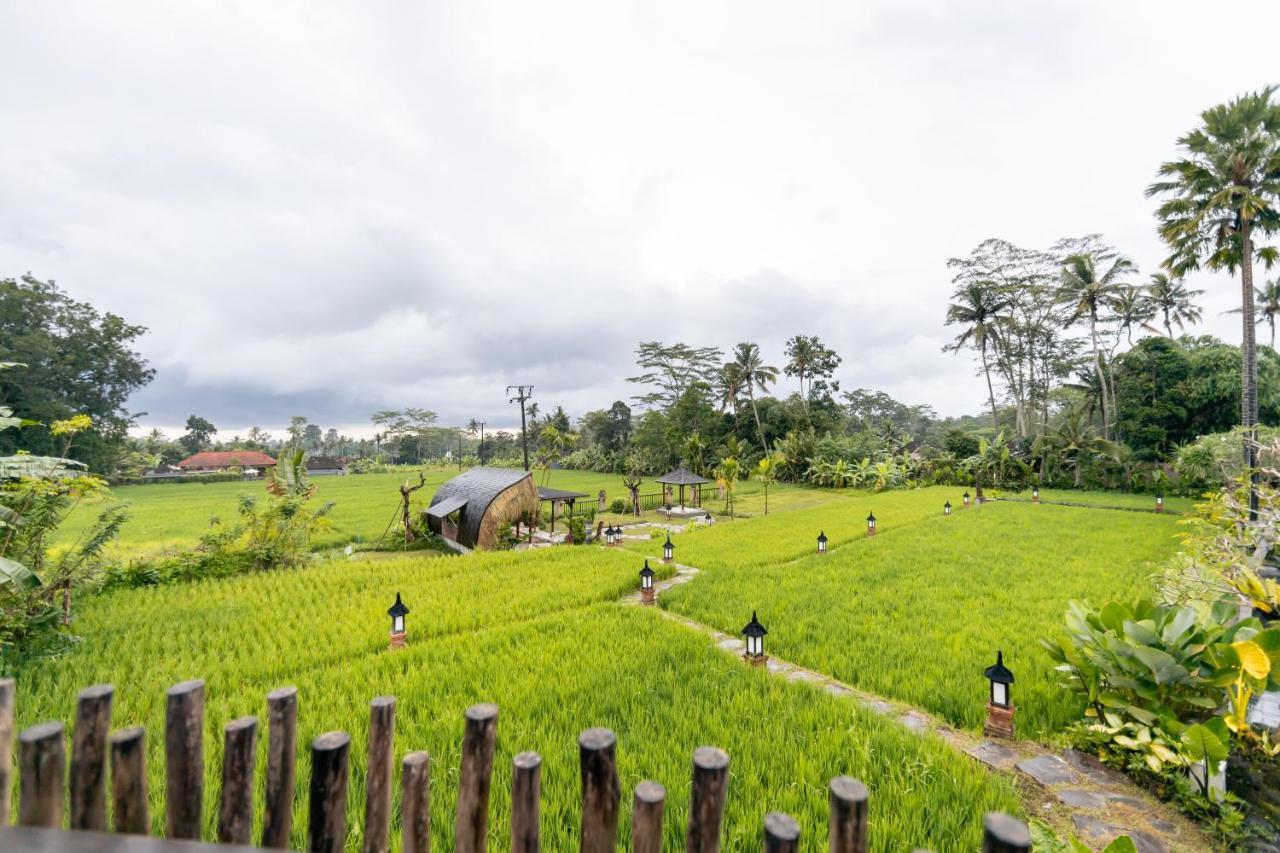 Anumana Village Ubud Экстерьер фото