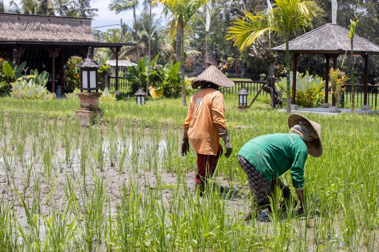 Anumana Village Ubud Экстерьер фото