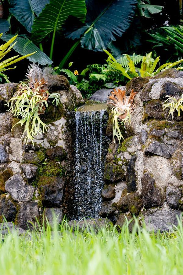 Anumana Village Ubud Экстерьер фото