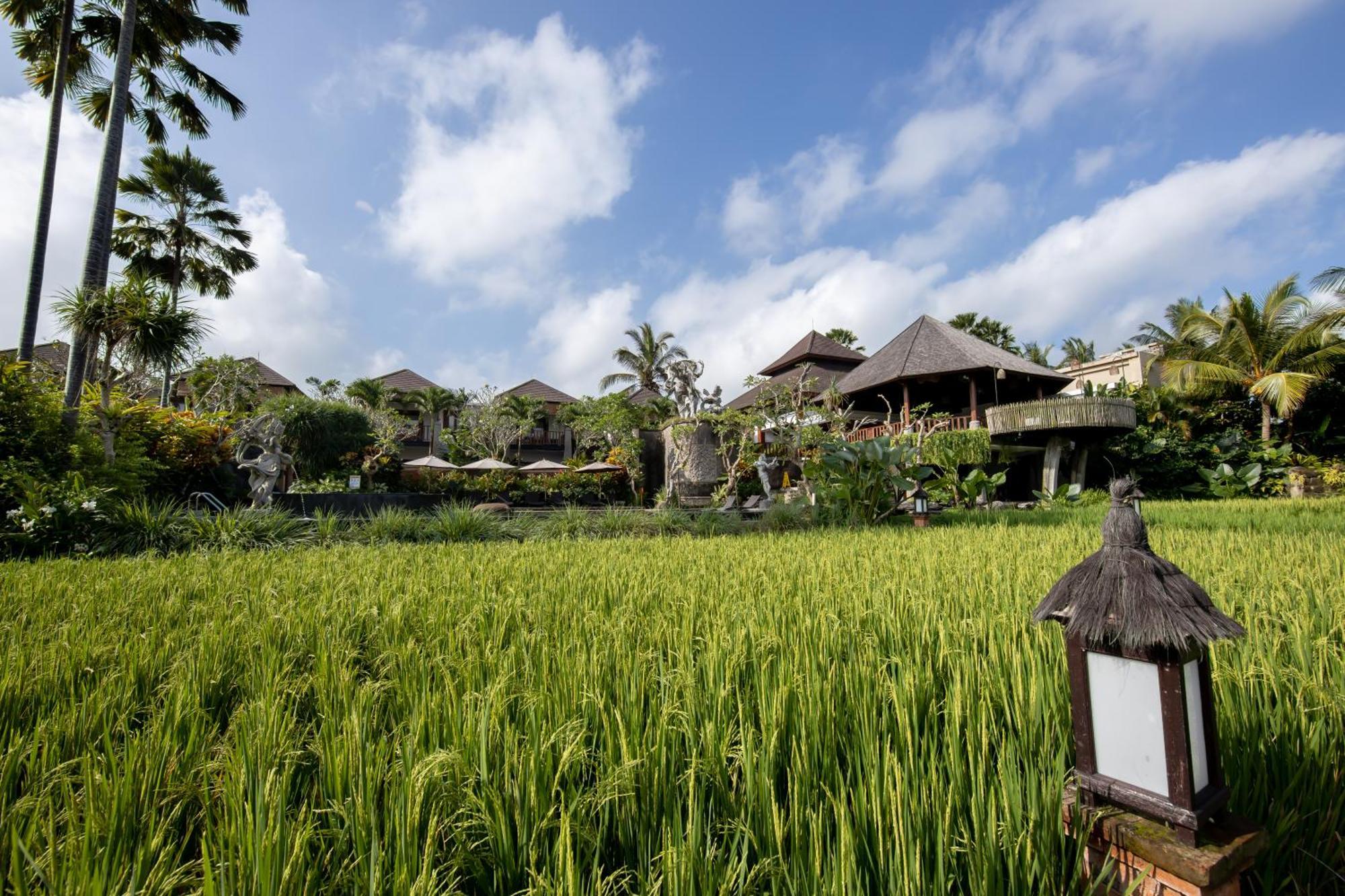 Anumana Village Ubud Экстерьер фото